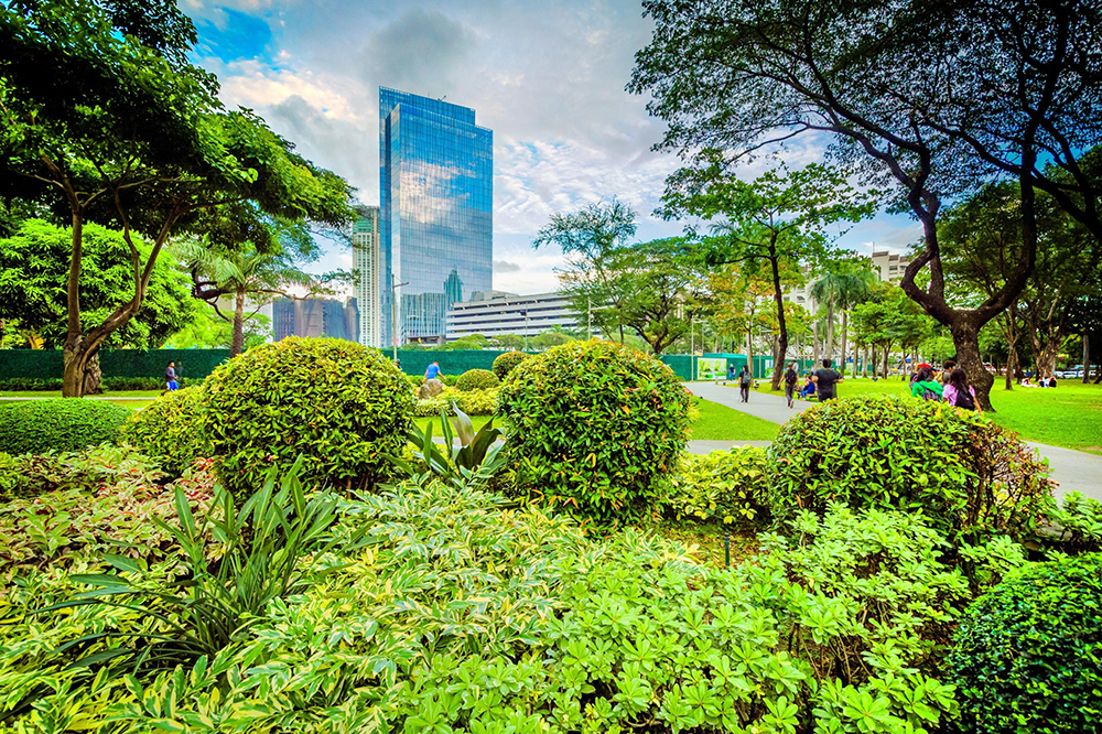 Dog Friendly City Guide: Manila, Philippines