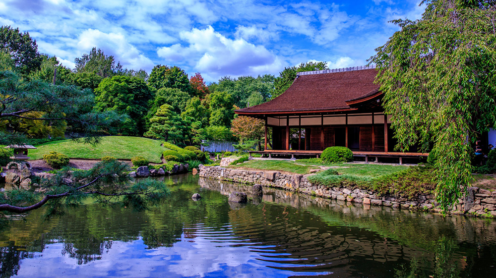 Dog Friendly City Guide: Philadelphia, USA