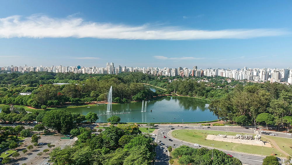 Dog Friendly City Guide: São Paulo, Brazil