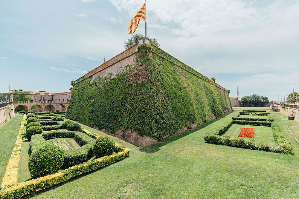 Dog Friendly City Guide: Barcelona, Spain