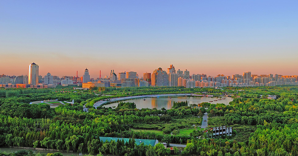 Dog Friendly City Guide: Shanghai, China