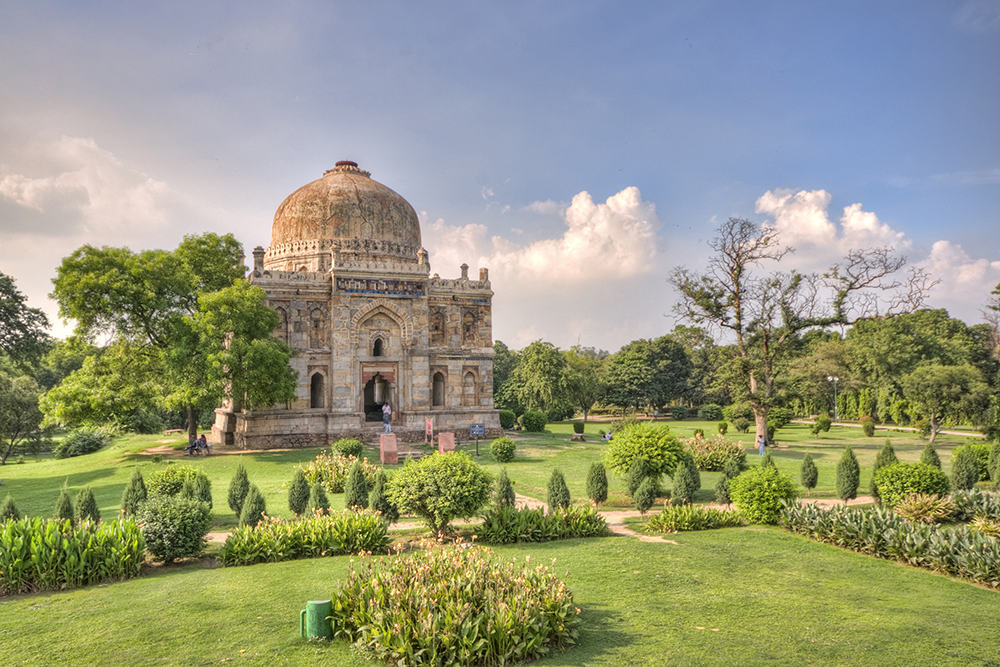 Dog Friendly City Guide: Delhi, India