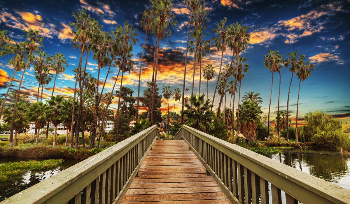 Dog Friendly City Guide: Los Angeles, USA