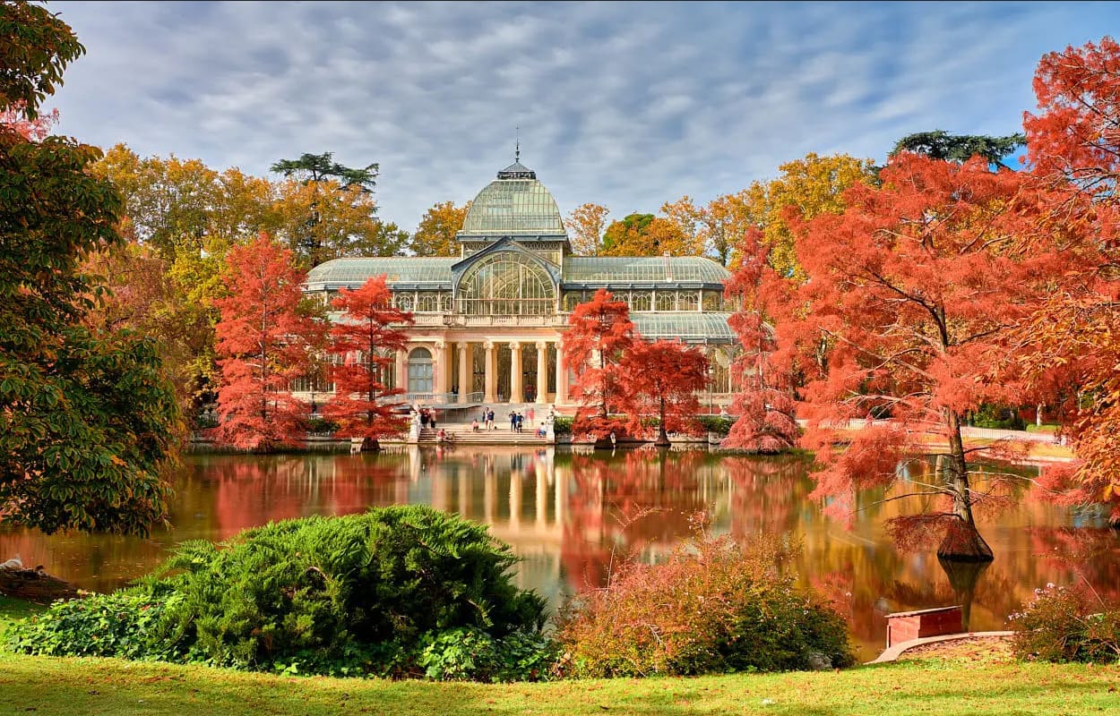 Dog Friendly City Guide: Madrid, Spain