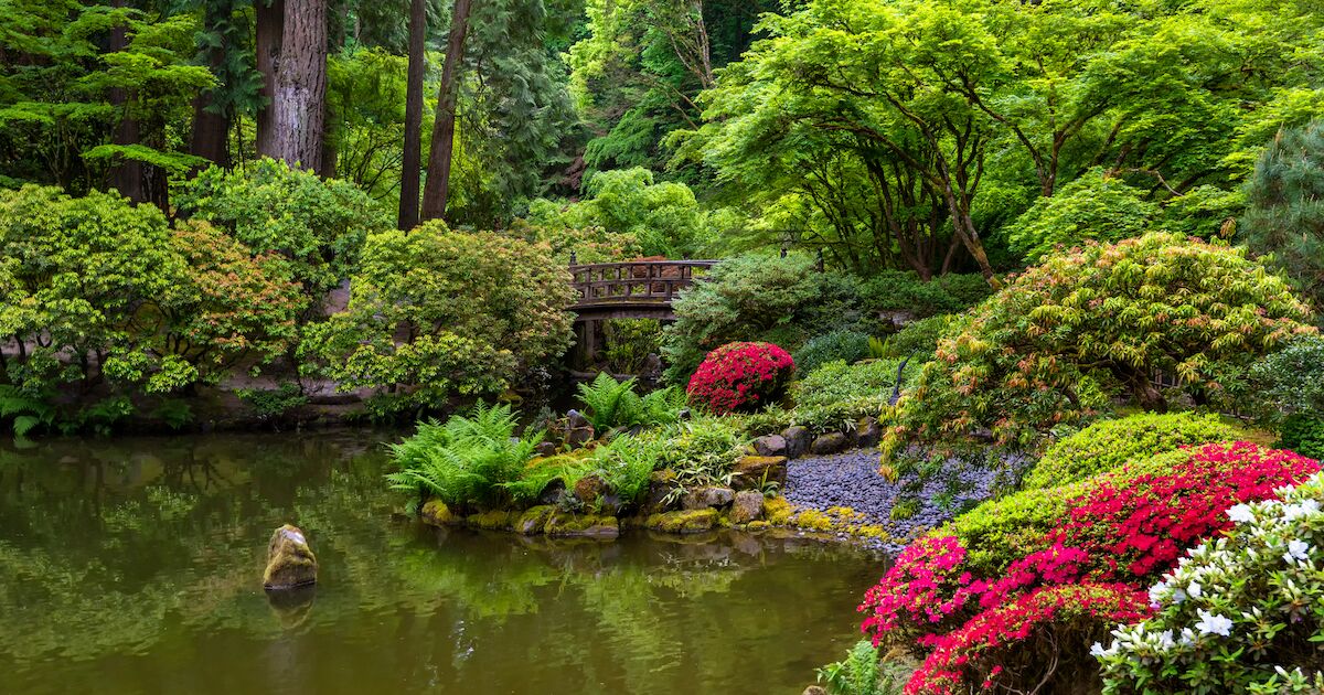 Dog Friendly City Guide: Portland, USA