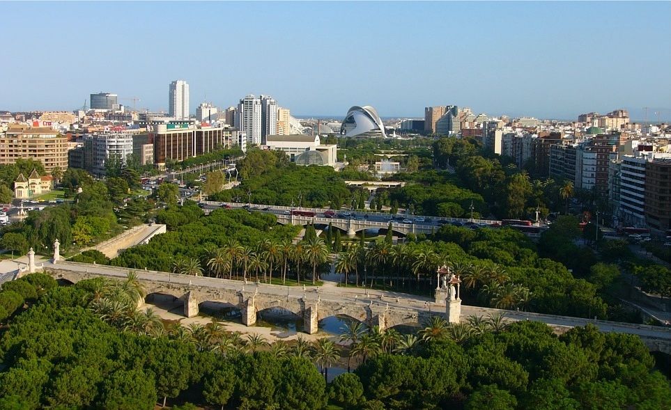 Dog Friendly City Guide: Valencia, Spain