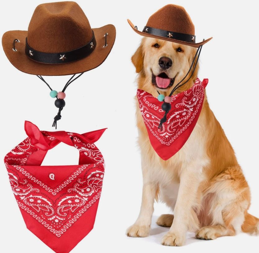 golden retriever wearing a red bandana and cowboy hat