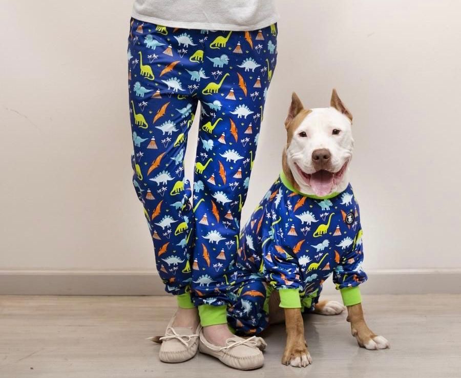owner and their pitbull in matching dinosaur pajamas