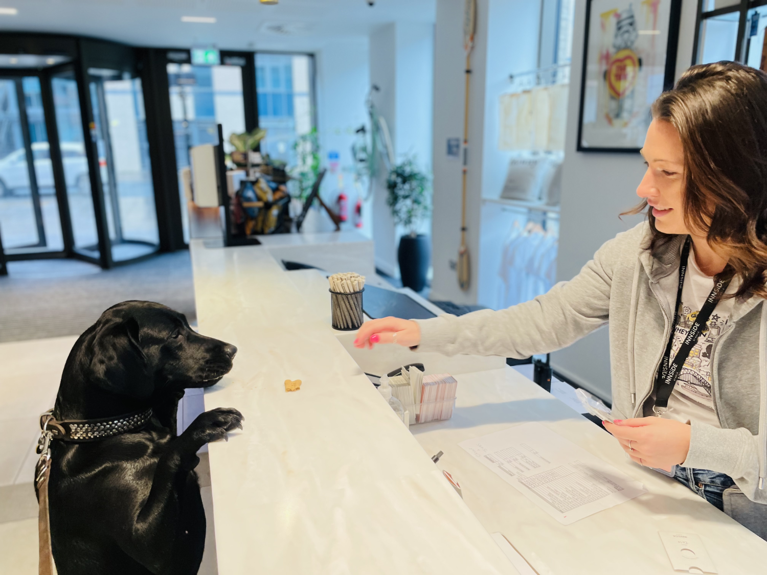 Leveraging the Growing Demand for Dog Friendly Accommodation: Practical Insights for the Hotel Industry