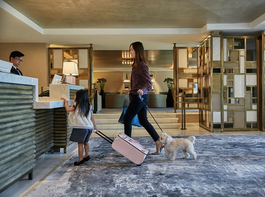 The 76% Return Rate: Why Dog Owners Are the Most Loyal Hotel Guests on Earth