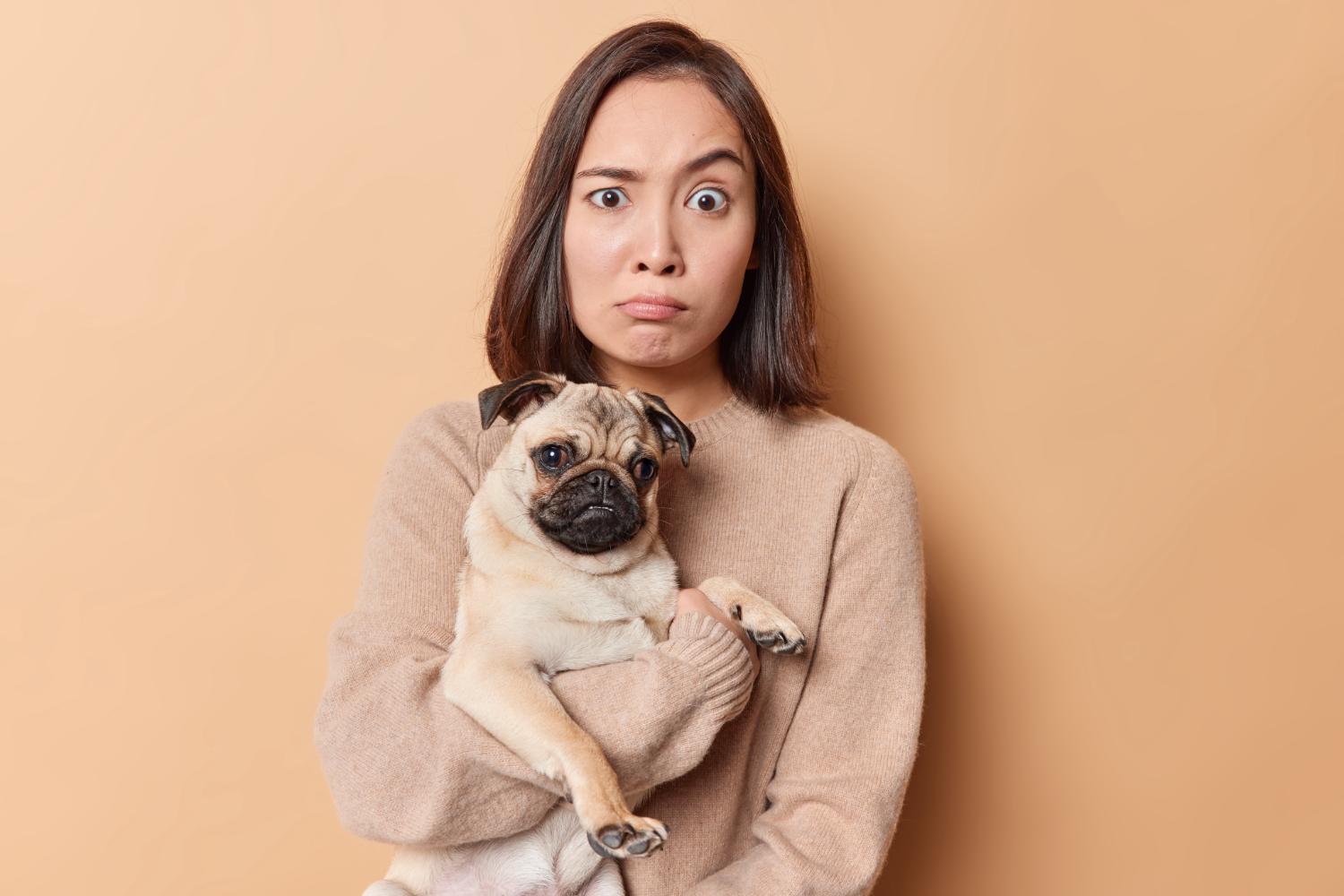The Pet Friendly Lie: How to Spot Fake Pet Friendly Hotels