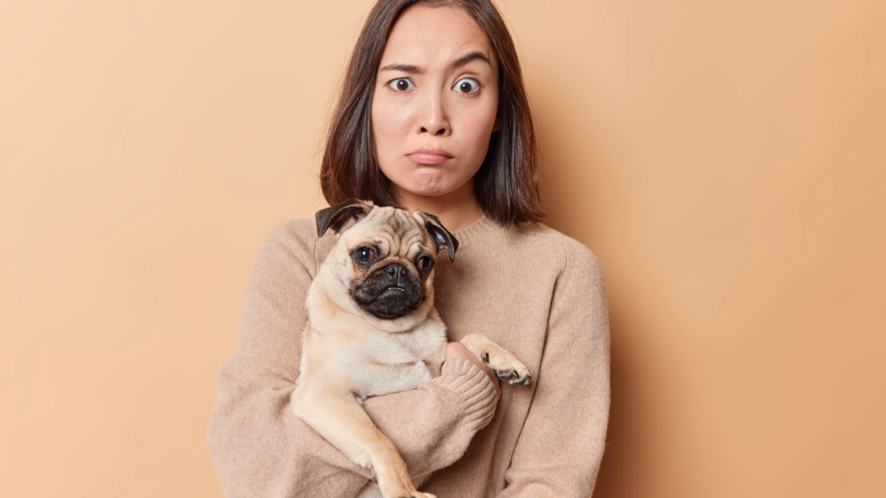 The Seven Sins of Pet Friendly: The Undefined Claim