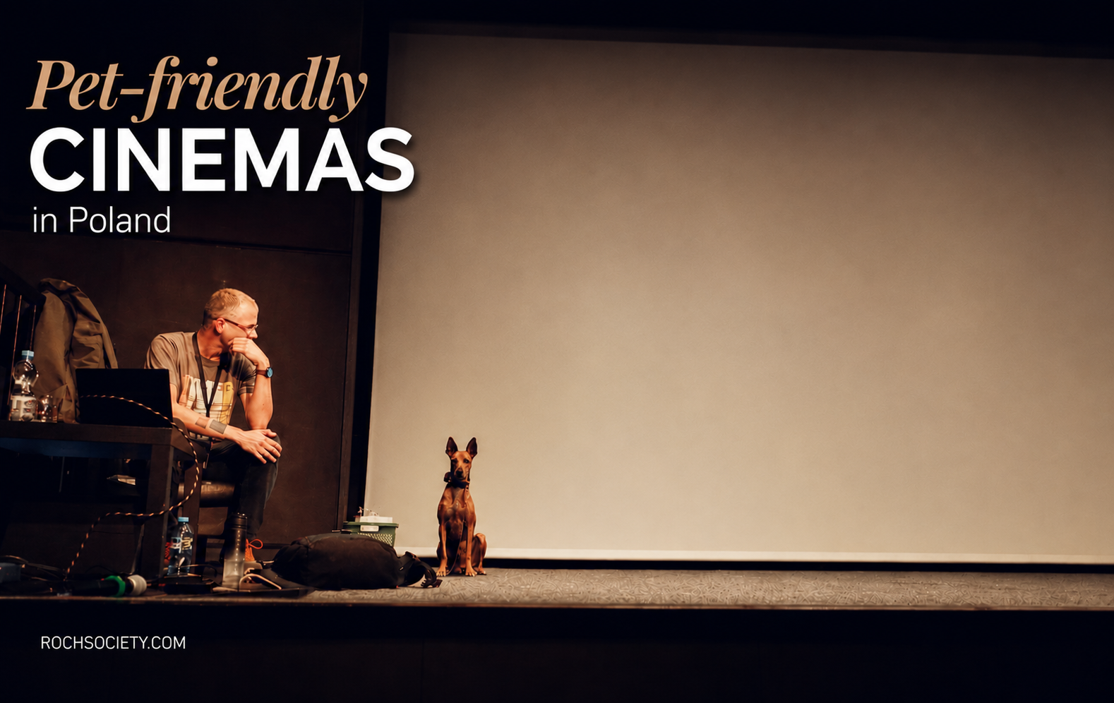 Take your dog to... the movies!