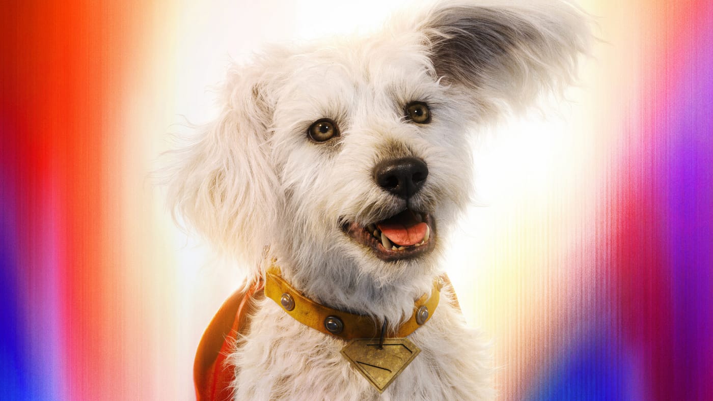 Dog Lovers Will Love Supergirl's Canine Sidekick