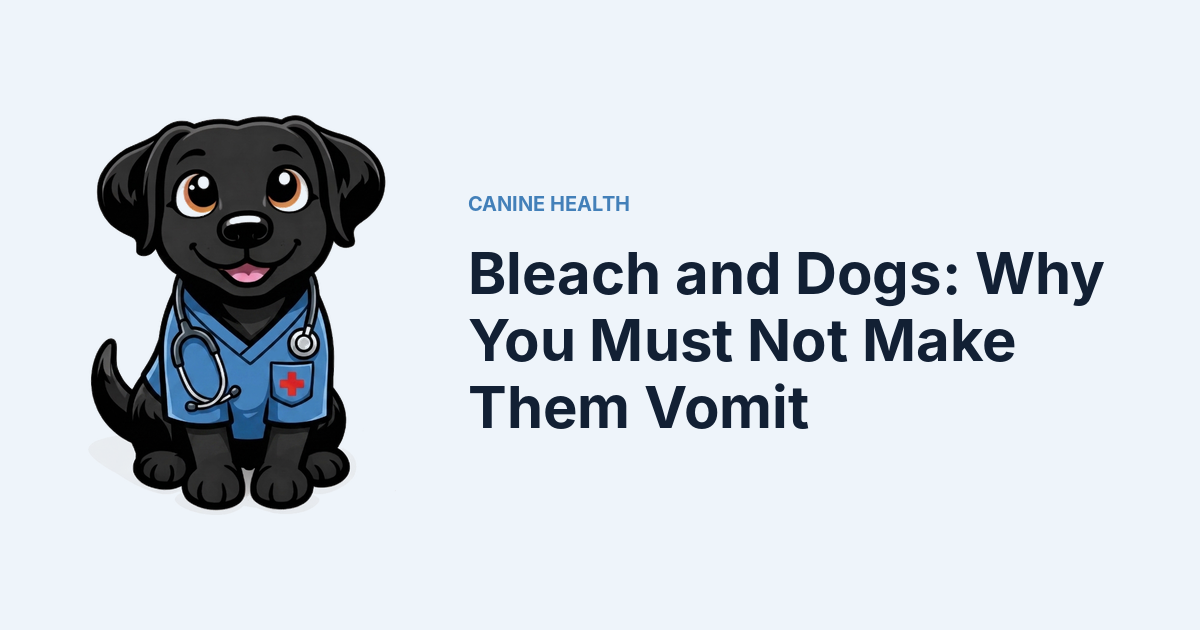 Bleach and Dogs: Why You Must Not Make Them Vomit — Kali, Roch Dog's canine concierge, in veterinary scrubs