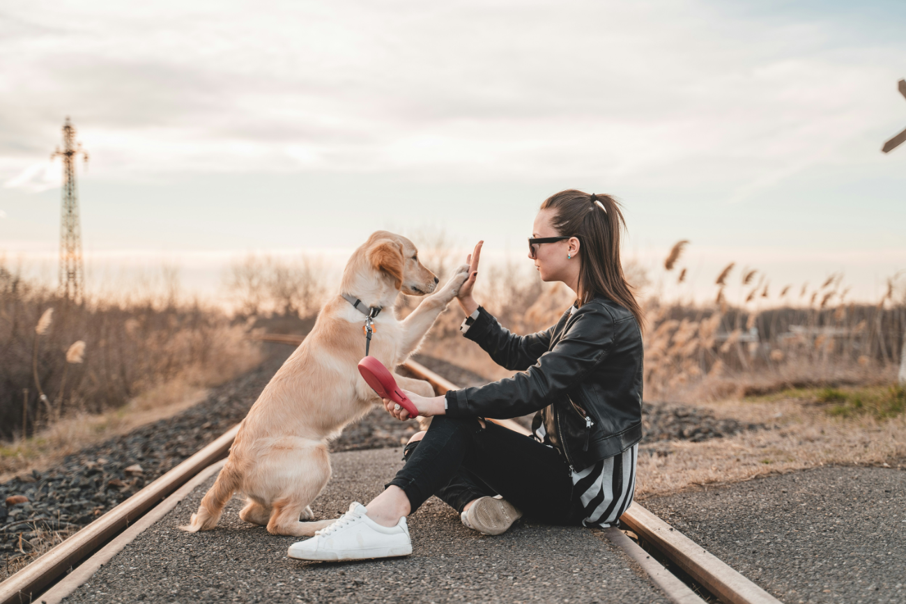 Who Makes the Rules That Govern Your Dog's Life?