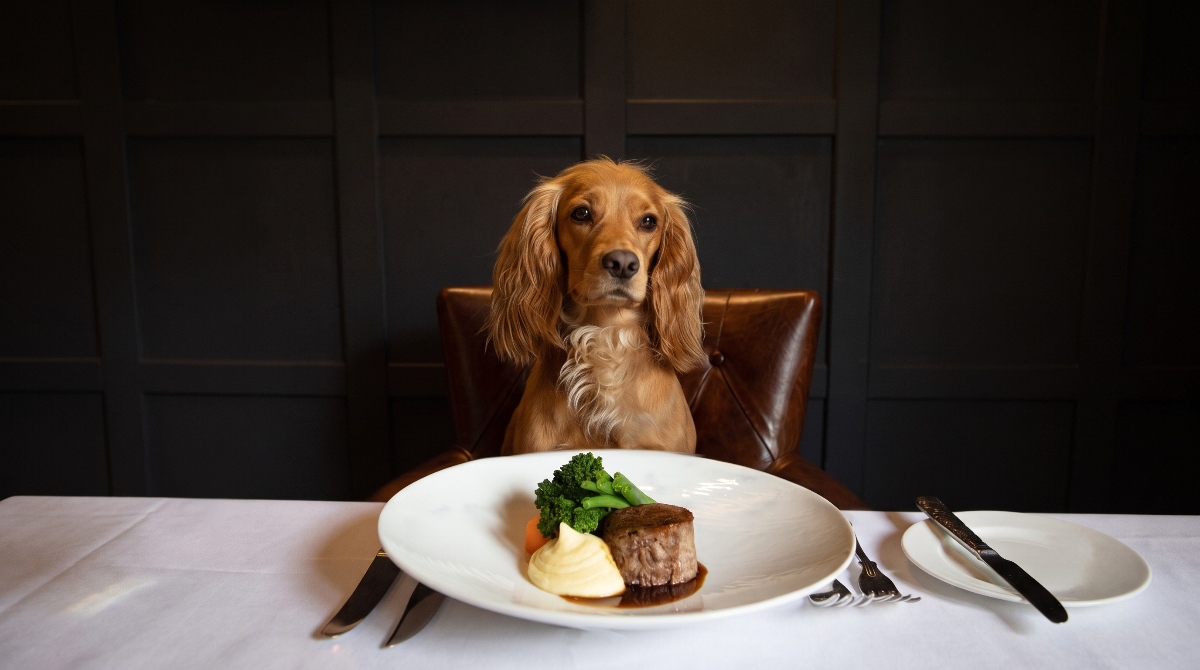 The Quiet Economics of the Hotel Dog Menu