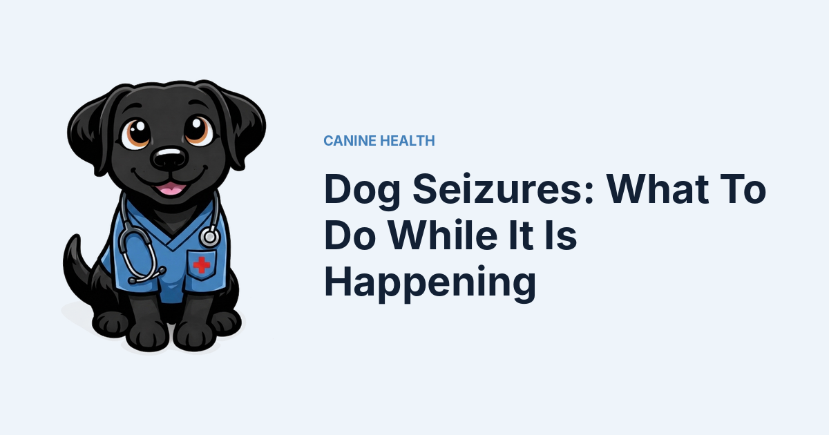 Dog Seizures: What To Do While It Is Happening — Kali, Roch Dog's canine concierge, in veterinary scrubs