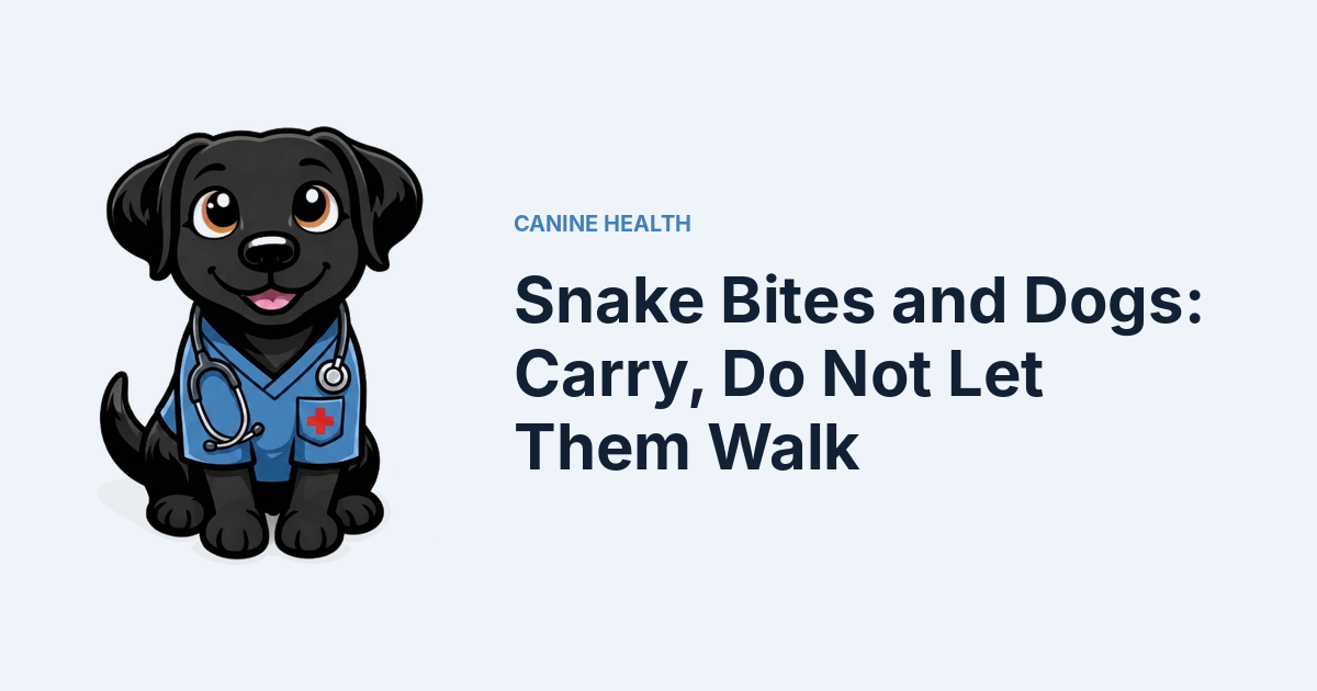 Snake Bites and Dogs: Carry, Do Not Let Them Walk — Kali, Roch Dog's canine concierge, in veterinary scrubs