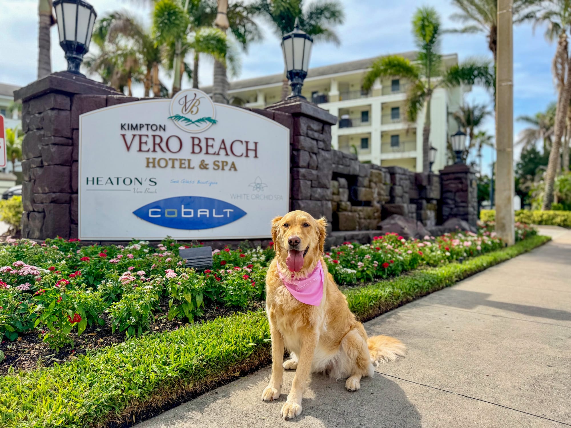 Where Your Dog Goes, You Go: Kimpton Vero Beach Hotel