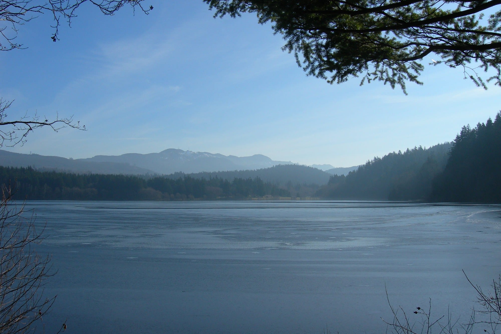 Lake Padden under a clear sky with forested hills and distant mountains, framed by overhanging branches