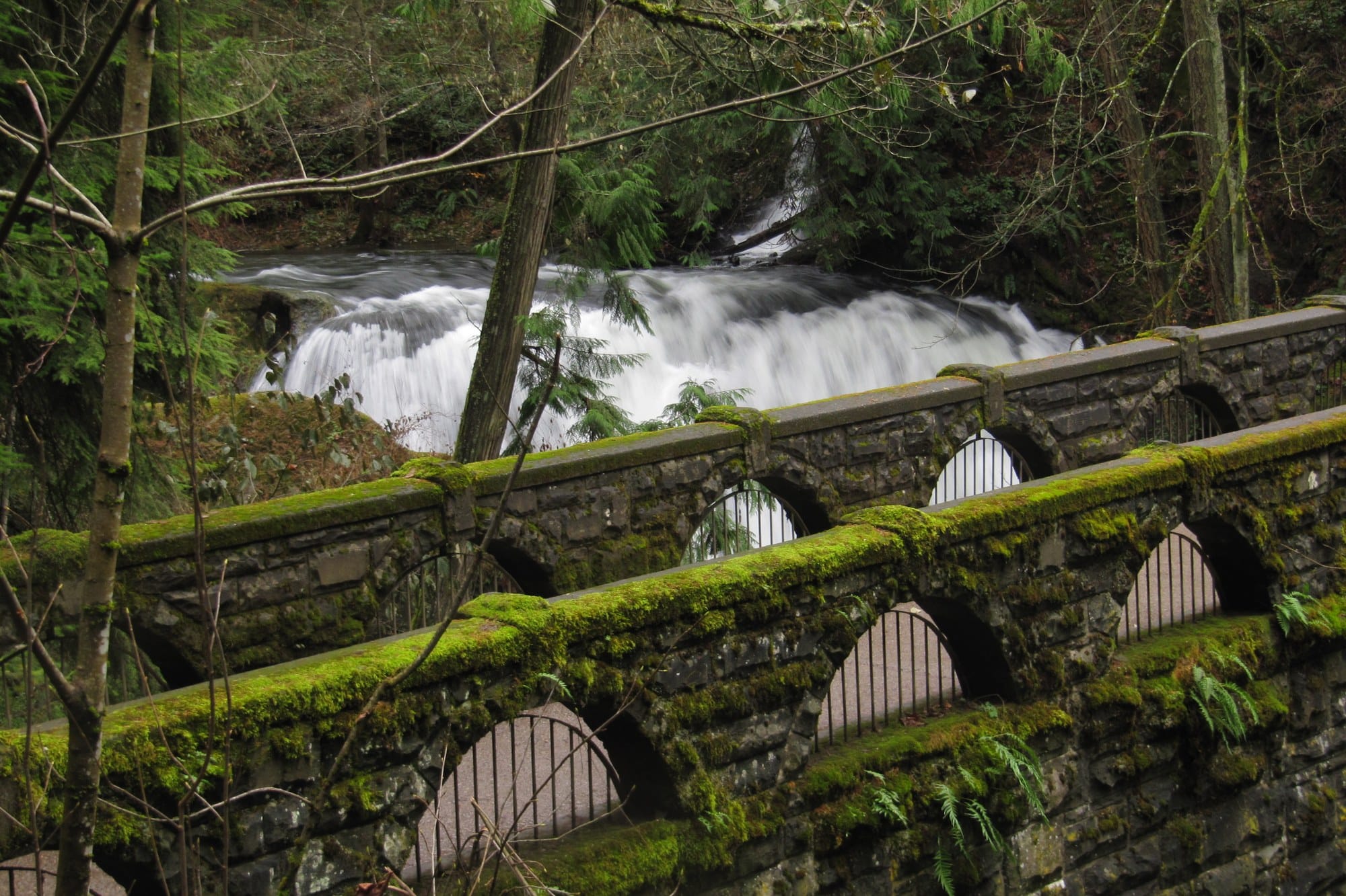 A moss covered stone bridge with arched openings in front of a waterfall in a green forest