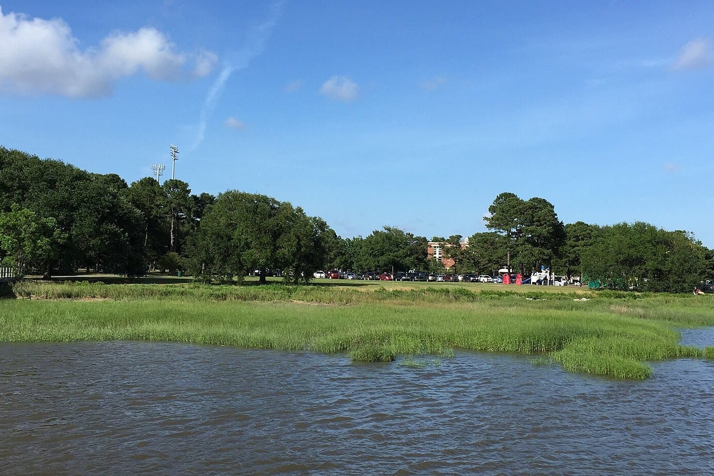 Marsh grass and the Ashley River in front of the lawns and trees of Brittlebank Park