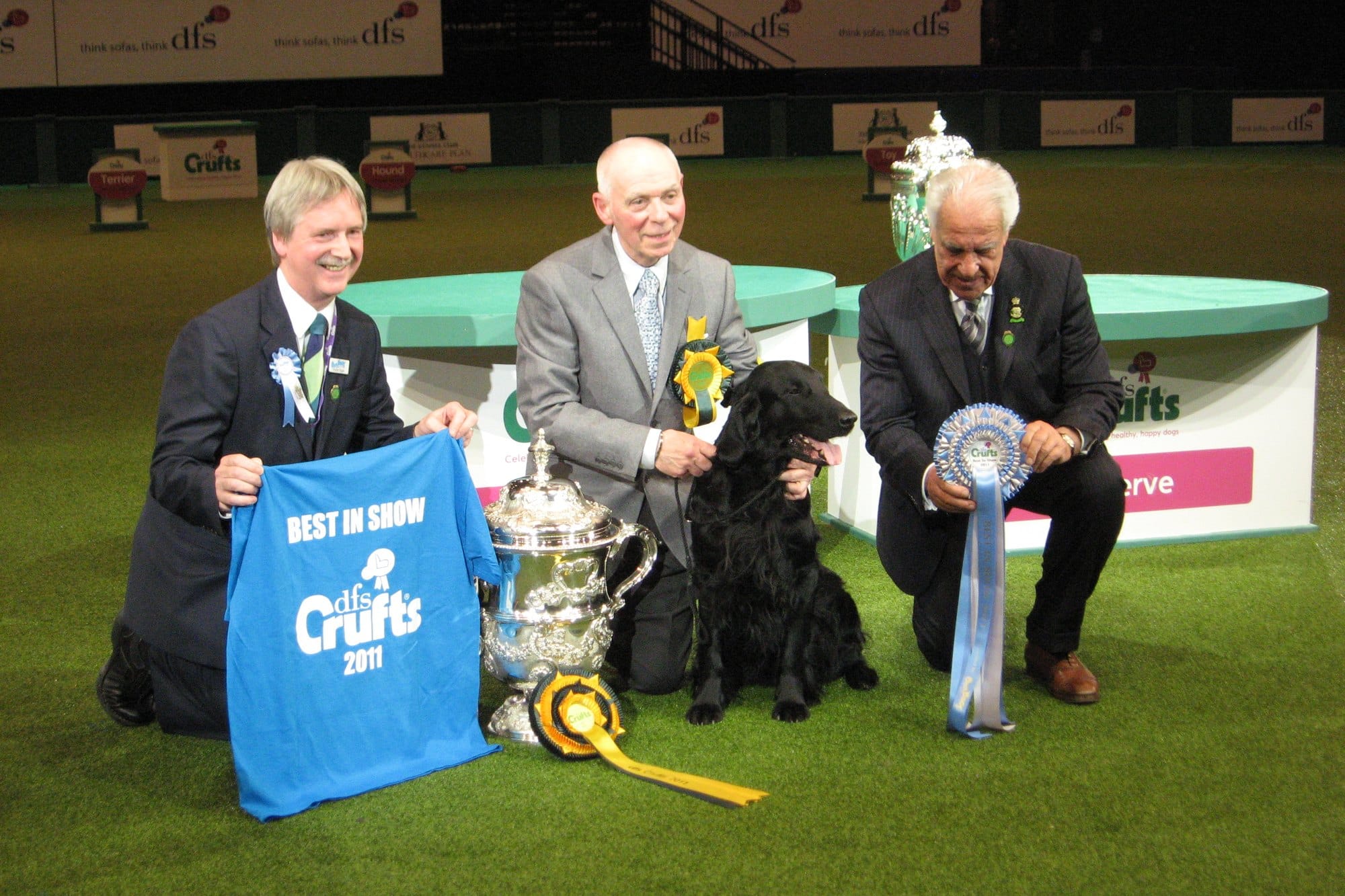 A black flat-coated retriever beside the Best in Show trophy in the main arena at Crufts 2011