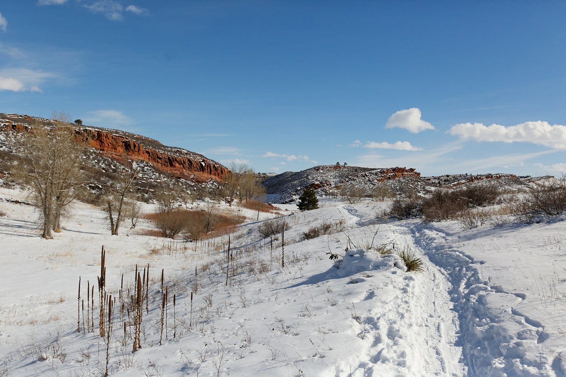 A snowy trail through a valley below red sandstone cliffs at Lory State Park