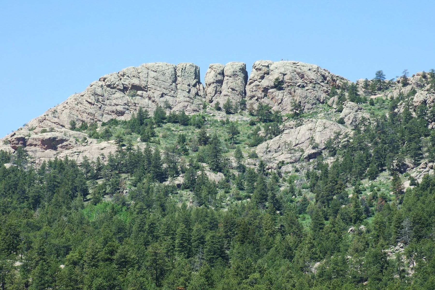 The notched granite summit of Horsetooth Rock above pine forest under a clear blue sky