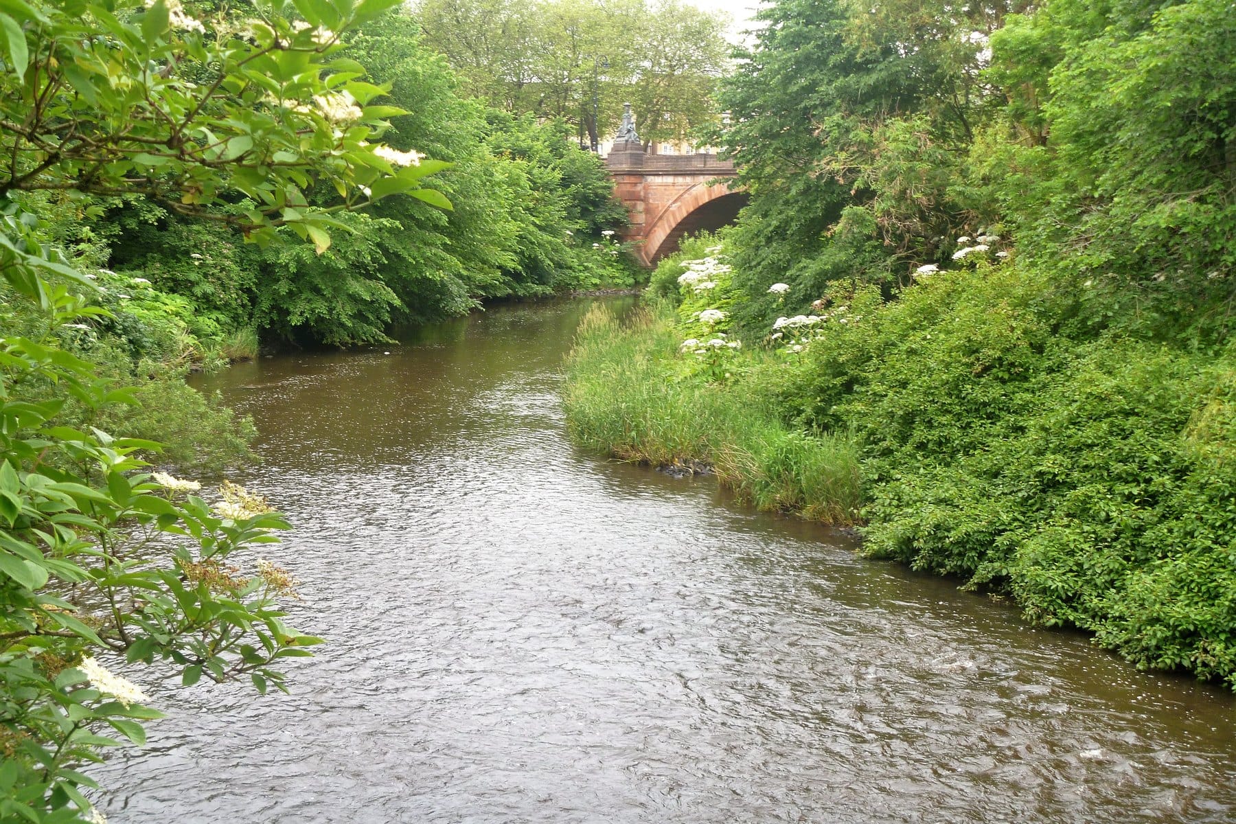 The River Kelvin running between green banks in Kelvingrove Park, with a red sandstone bridge behind