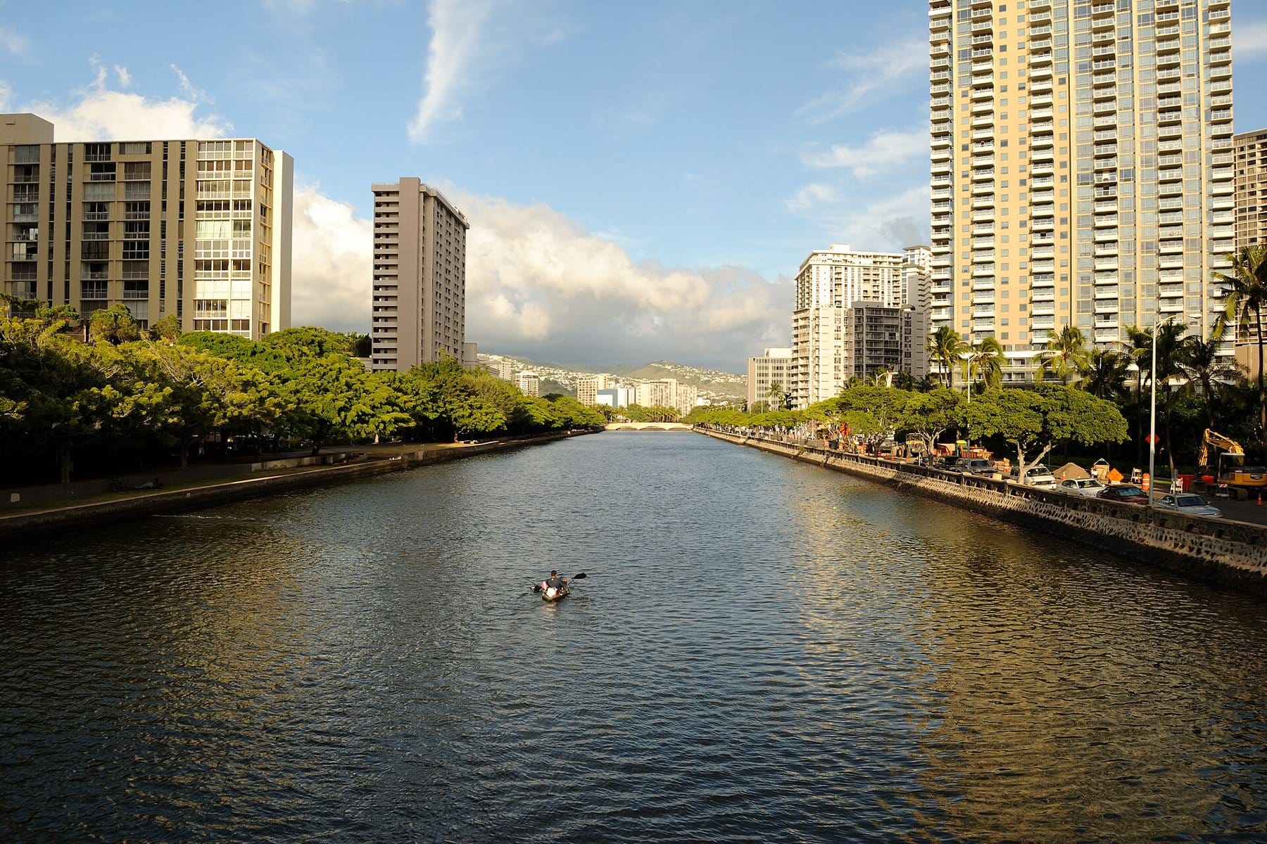 The Ala Wai Canal in Honolulu, lined with trees and tower blocks, with a lone paddler on the water