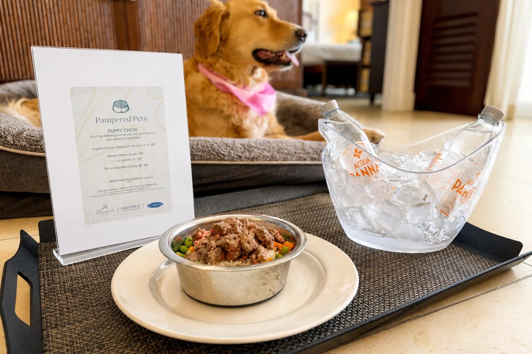 A dog dinner in a steel bowl on a china plate beside a Pampered Pets menu and bottled water on ice