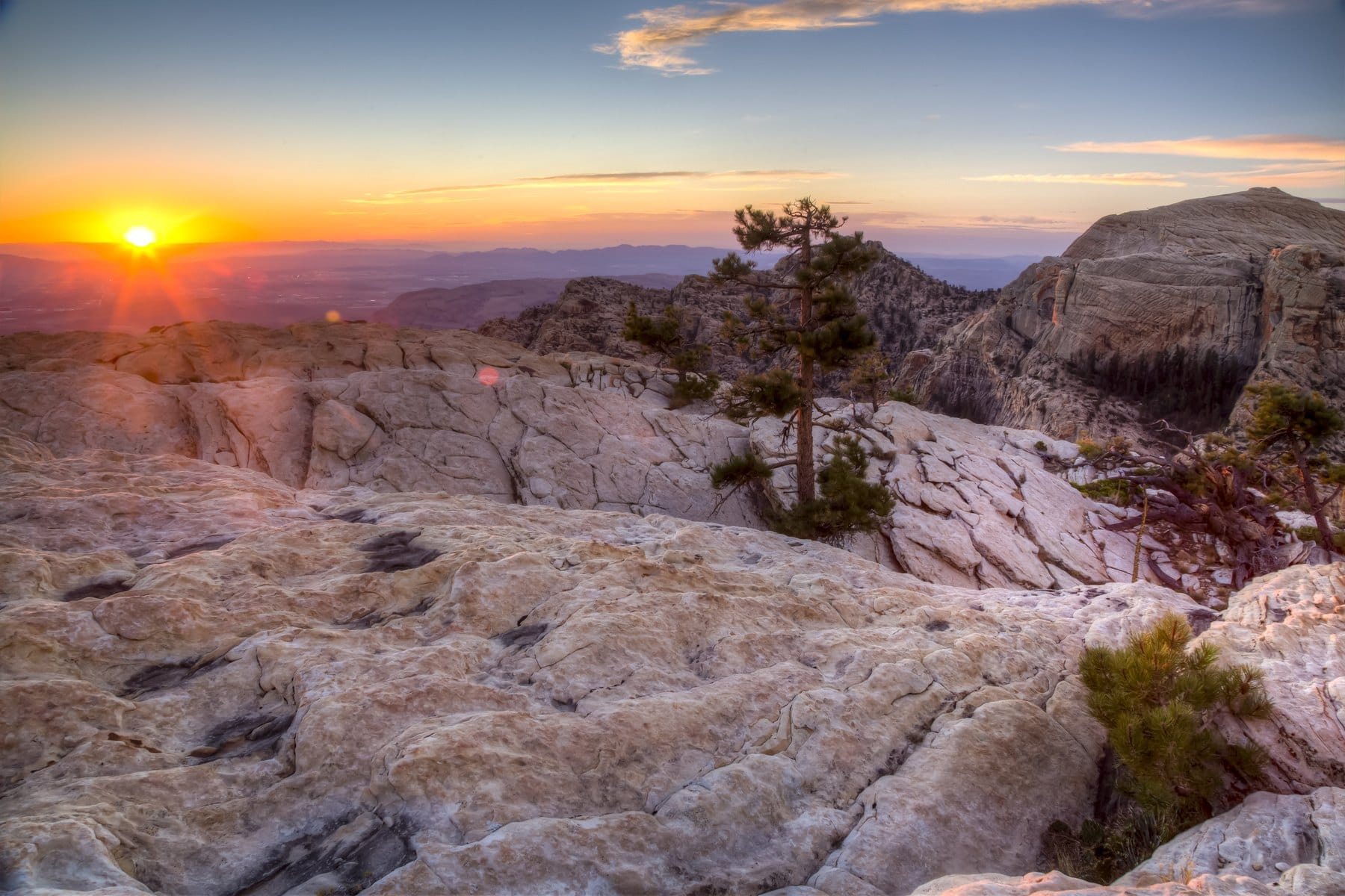 Sunset over pale sandstone slabs and pines high in Red Rock Canyon