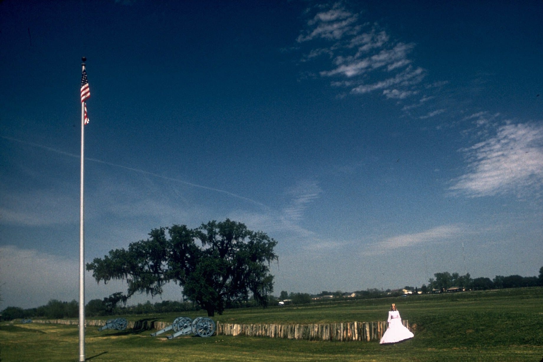 The rampart, cannon and a great live oak on the open field at Chalmette Battlefield