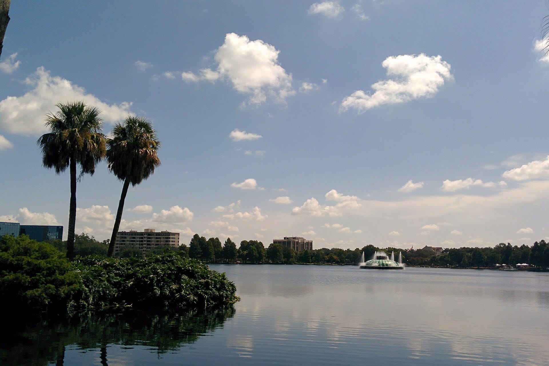 Palms and greenery on the shore of Lake Eola, with the fountain in the middle of the lake