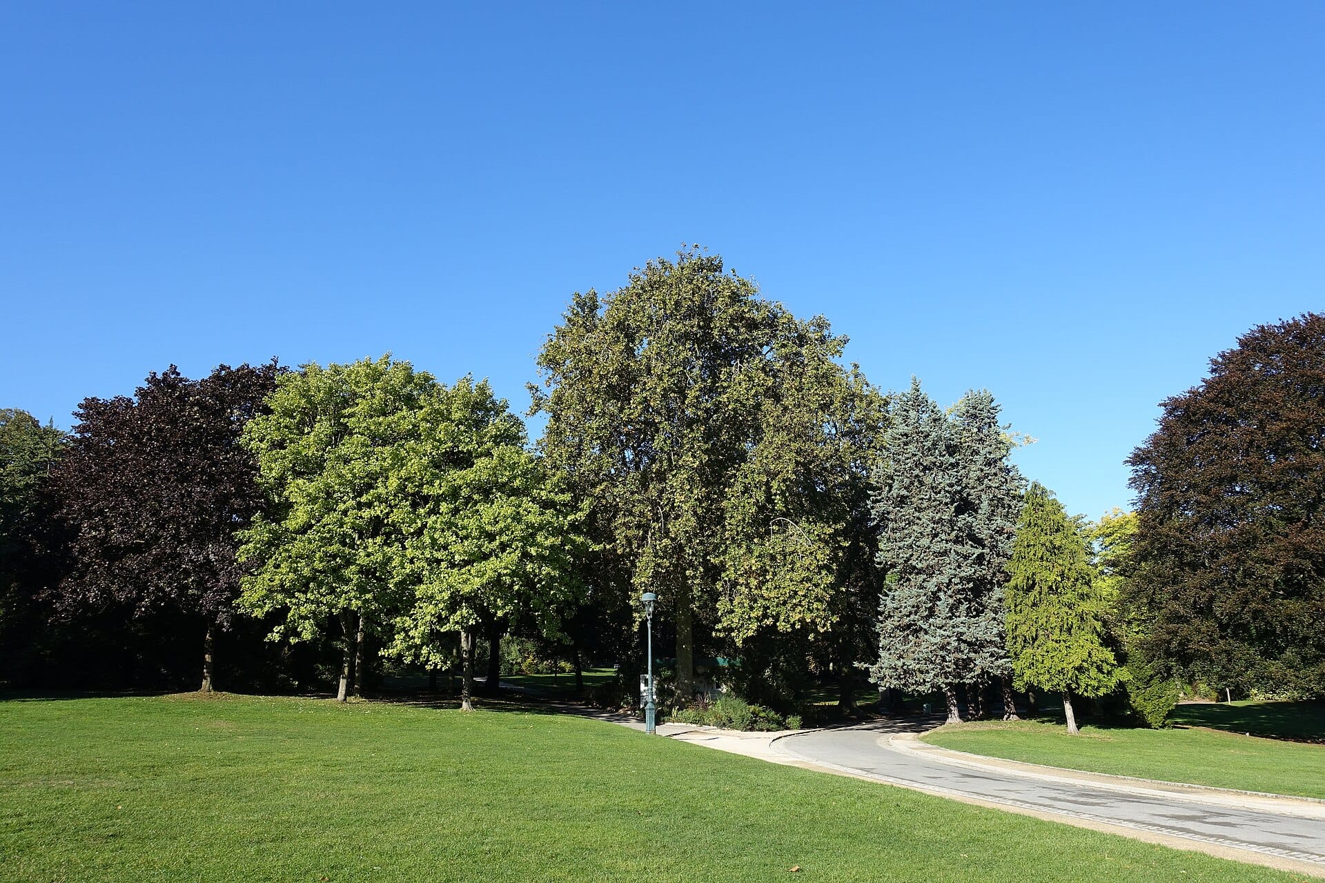 A curving path between lawns and tall trees in the Parc Montsouris, Paris