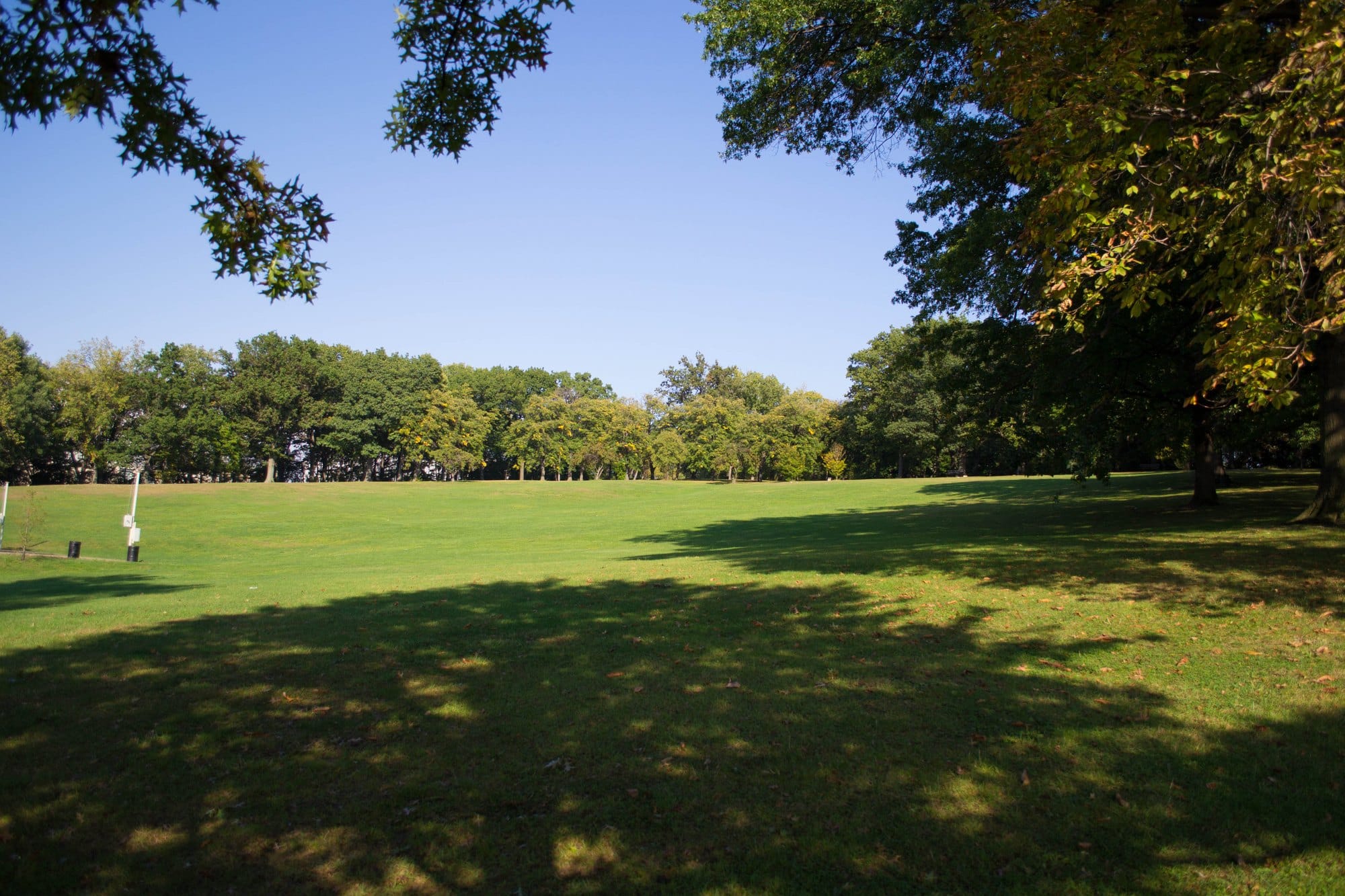 A wide sunlit lawn ringed by trees in Schenley Park, Pittsburgh, under a clear blue sky