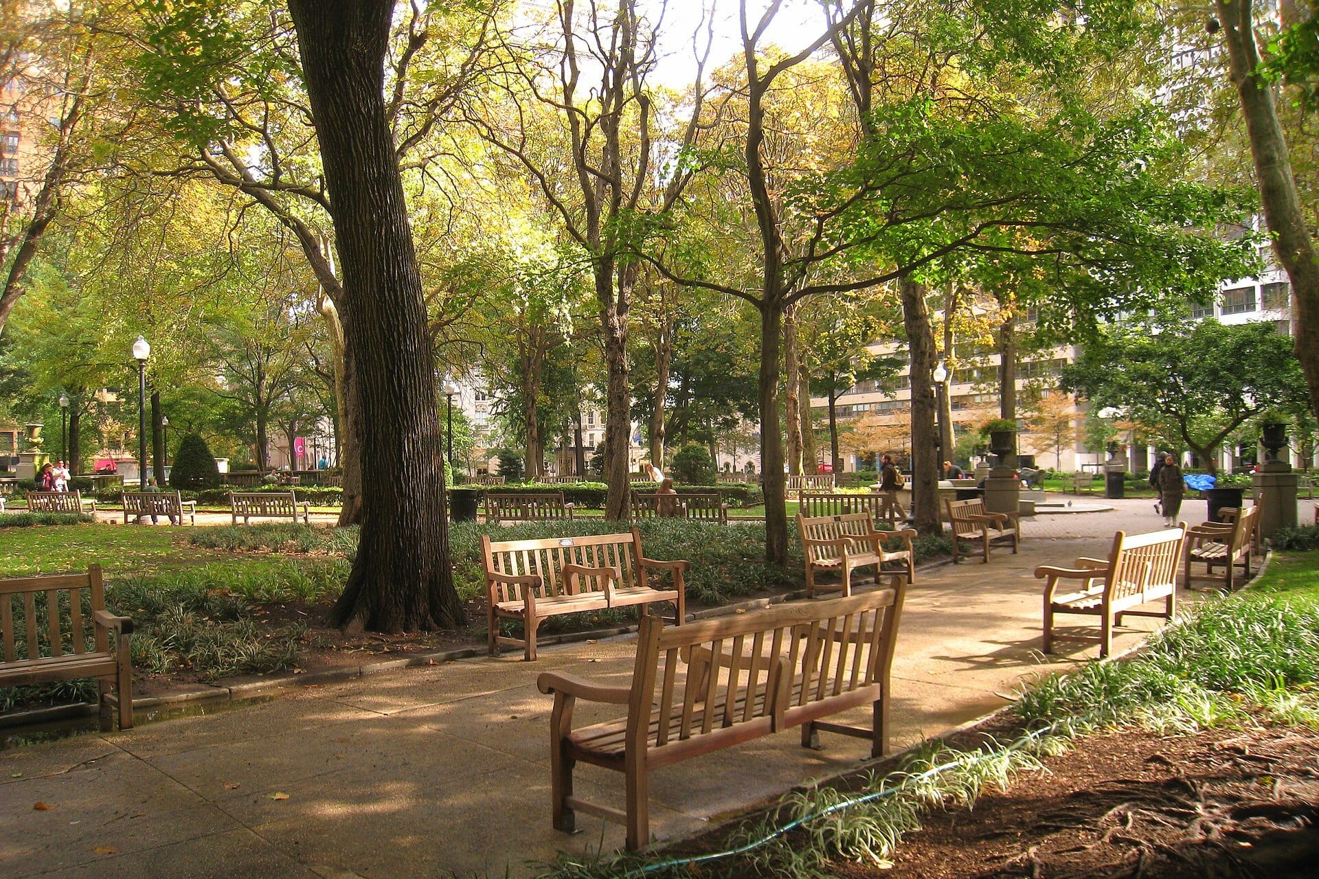 Wooden benches along a paved path under autumn trees in Rittenhouse Square, Philadelphia