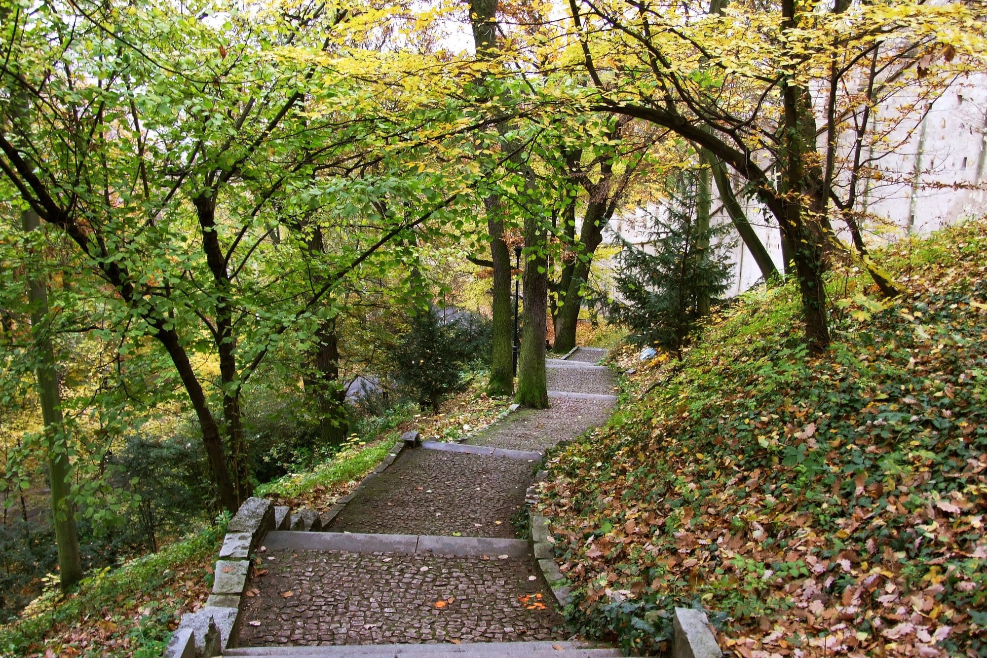 Cobbled steps winding down through autumn trees on Petřín Hill