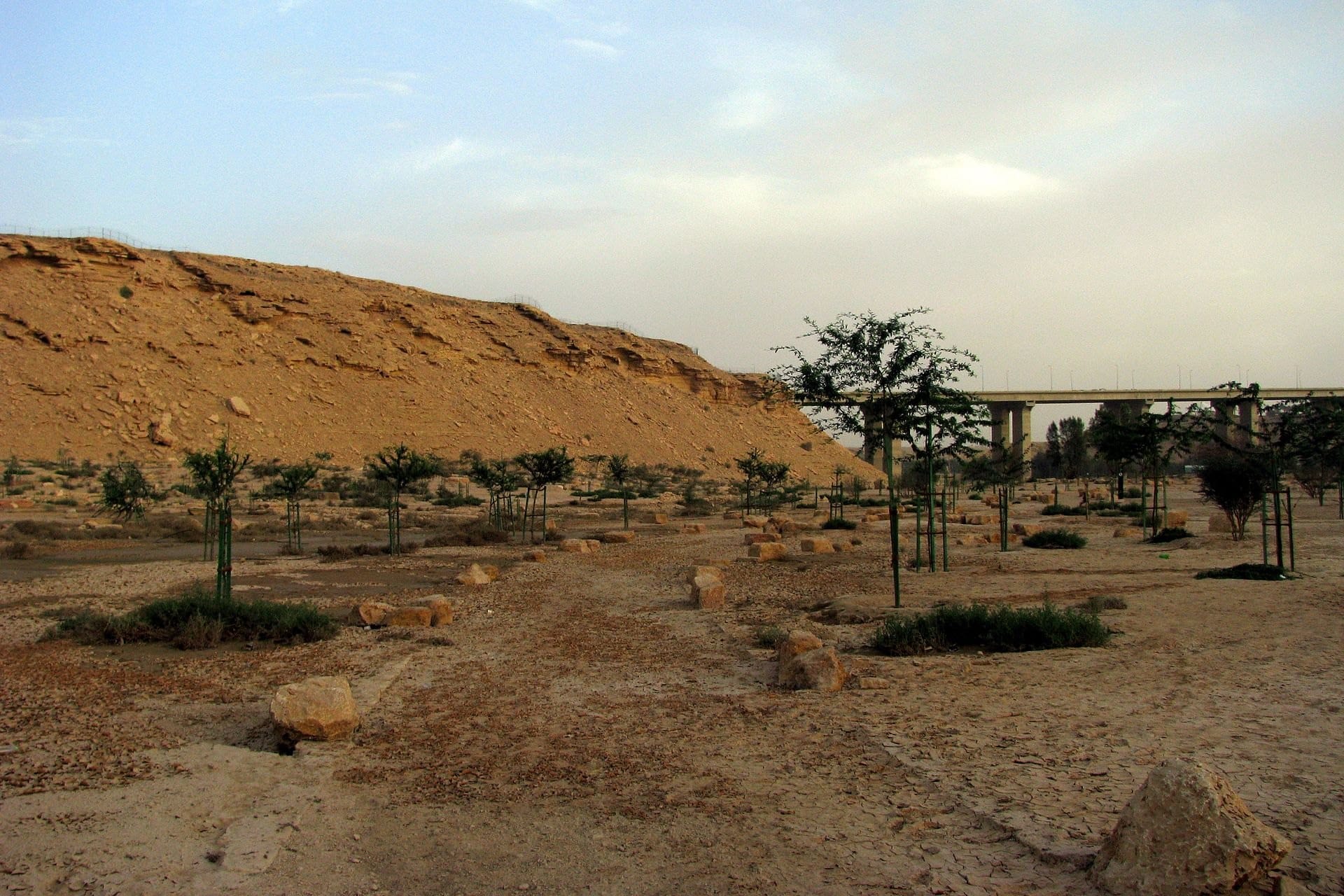 Young trees and rocks across the floor of Wadi Hanifah below a sandstone escarpment, with a road bridge in the distance