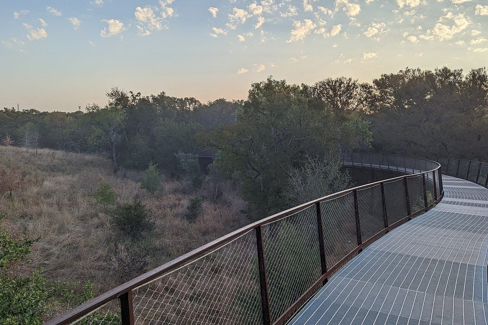 The elevated skywalk at the land bridge in Phil Hardberger Park curving over woodland and savanna