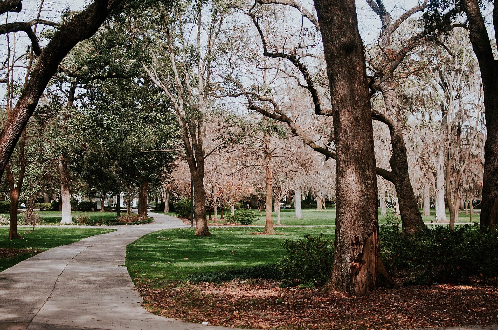 A curving path through lawns and old oaks in Forsyth Park, Savannah