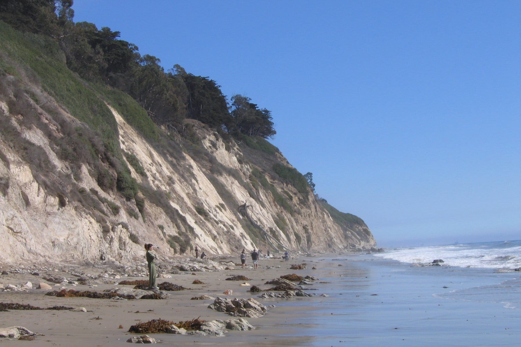 Walkers on the sand below tall pale cliffs topped with trees at Arroyo Burro Beach