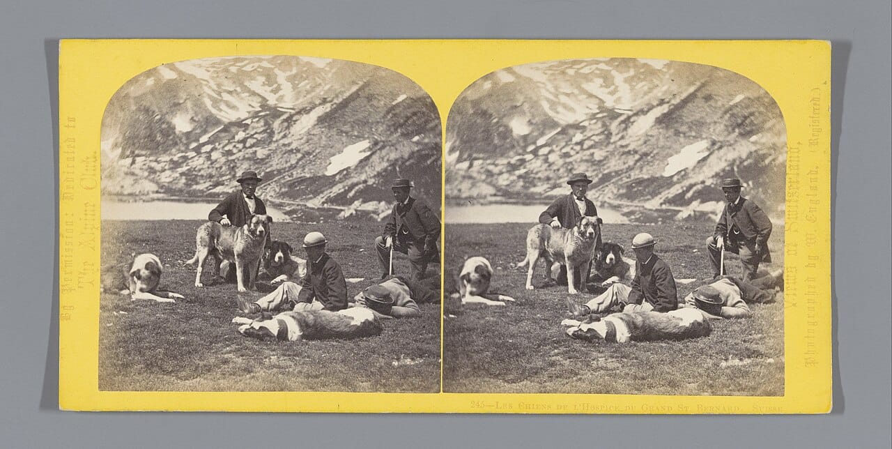 A nineteenth century stereograph of men resting with the hospice dogs on the pass