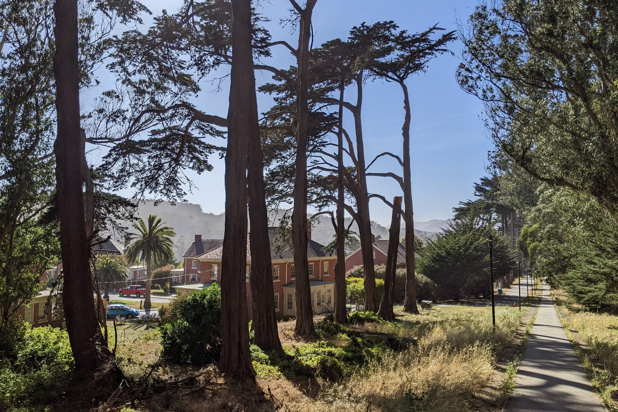 A paved path running beside tall cypress trees and old brick houses in the Presidio, with wooded hills beyond