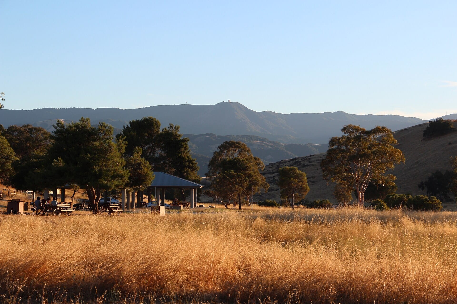 Golden grass, oaks and a picnic shelter in Santa Teresa County Park, with Mount Umunhum behind