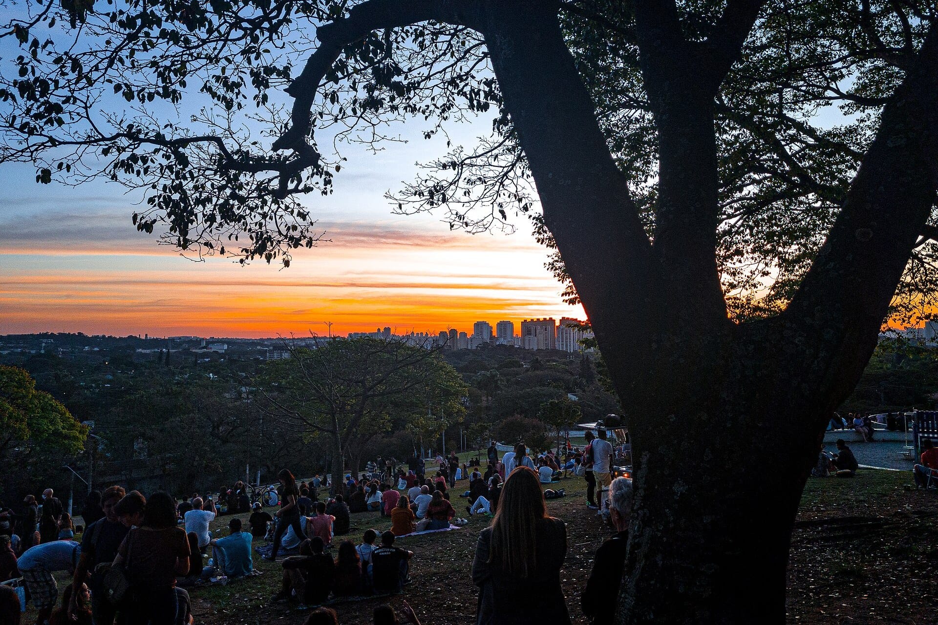 A crowd on the slope of the Praça do Pôr do Sol watching an orange sunset over the city, framed by a large tree