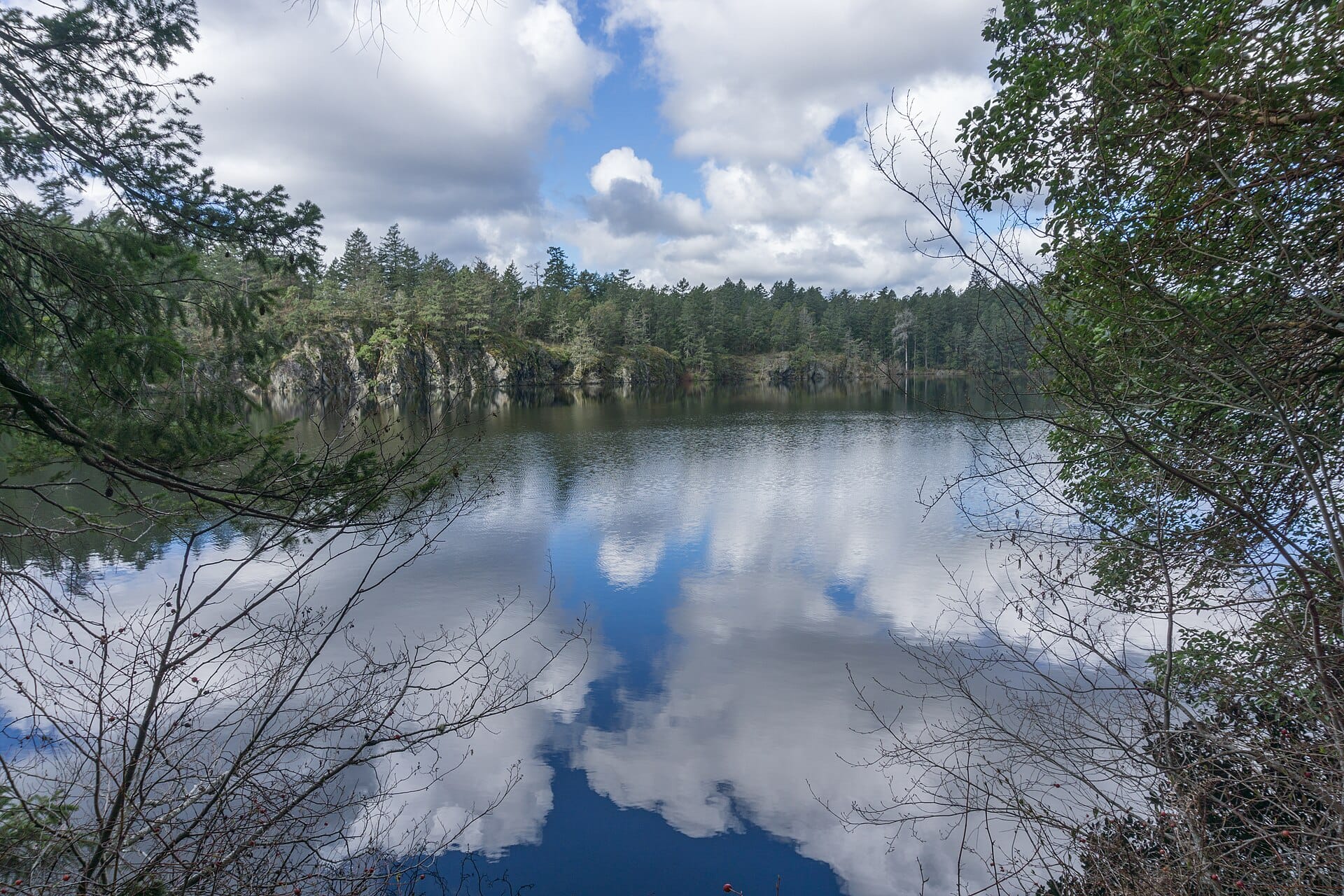 Thetis Lake reflecting clouds and blue sky, ringed by forest