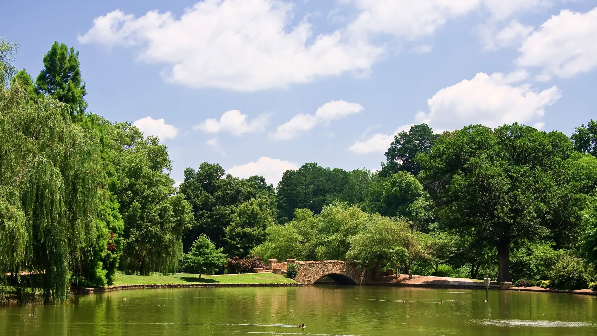 Dog Friendly City Guide Charlotte, North Carolina